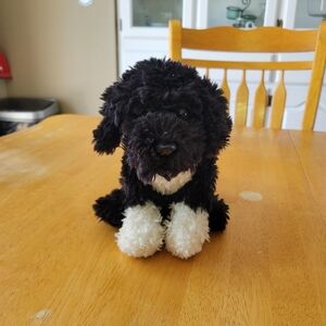 Ganz Webkinz Signature Portuguese Waterdog Dog Pluah - Black and White